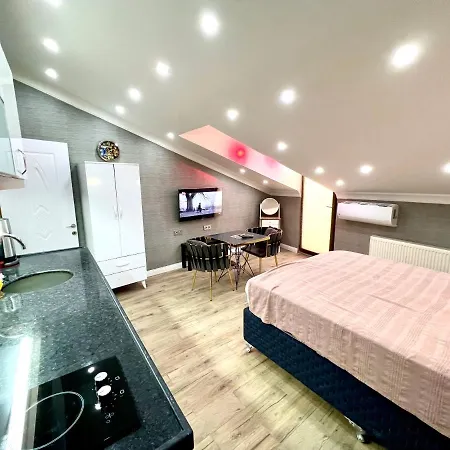 فندق Levent Palace Stdyo اسطنبول