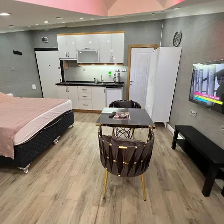 Hotel Levent Palace Stdyo Estambul